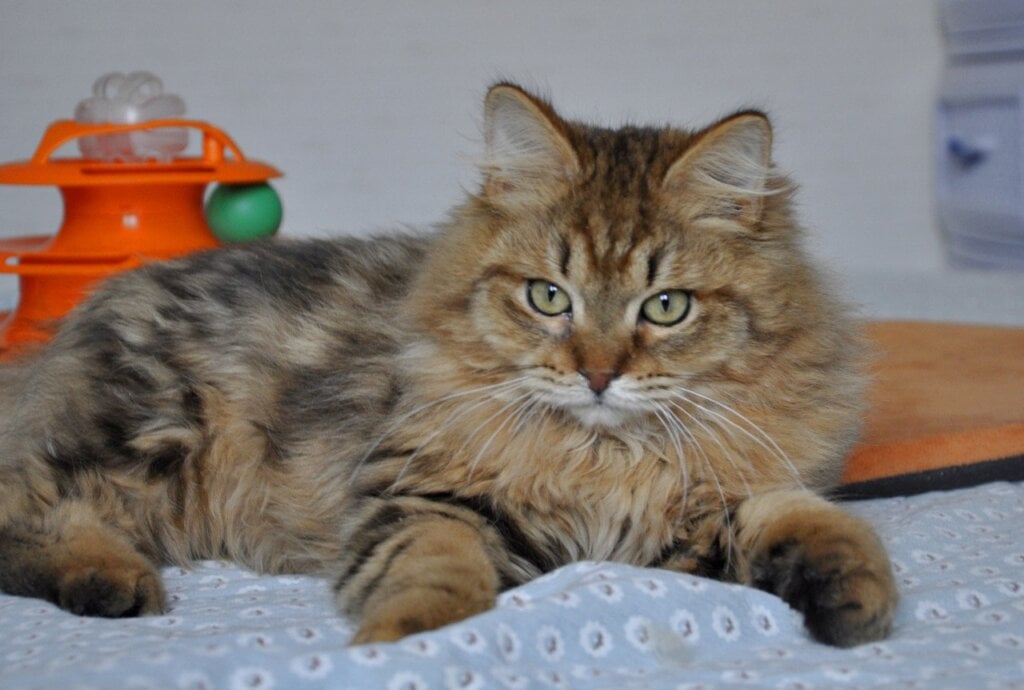 Photo 2026 03 03 14 38 16