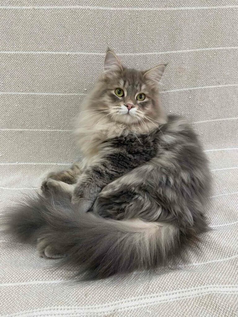 Photo 2026 03 03 15 25 27