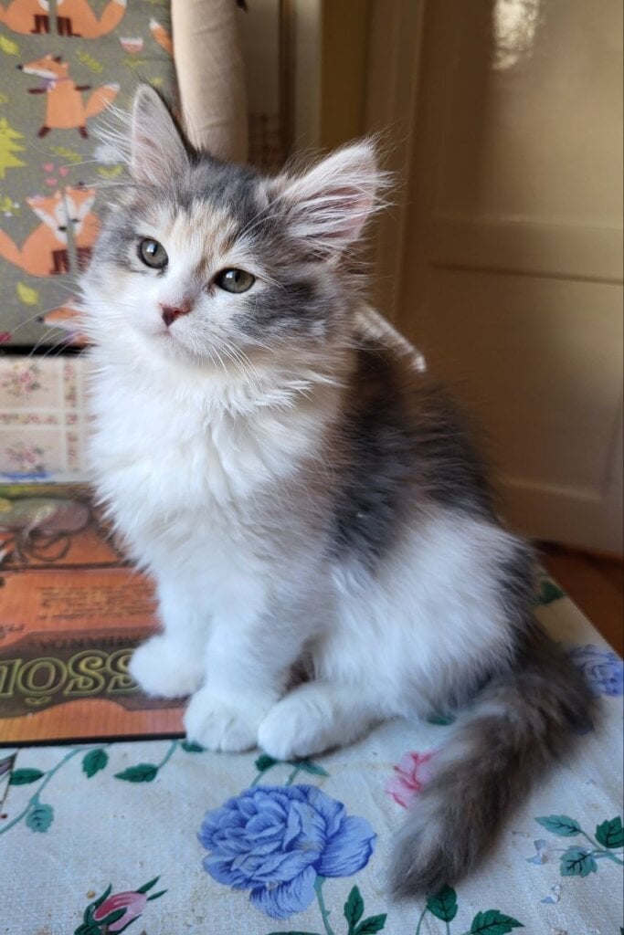 Photo 2026 03 03 17 19 58 2