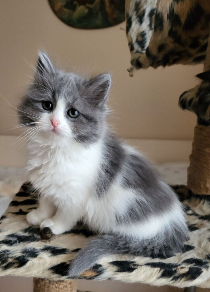 Photo 2026 03 03 17 29 33 2