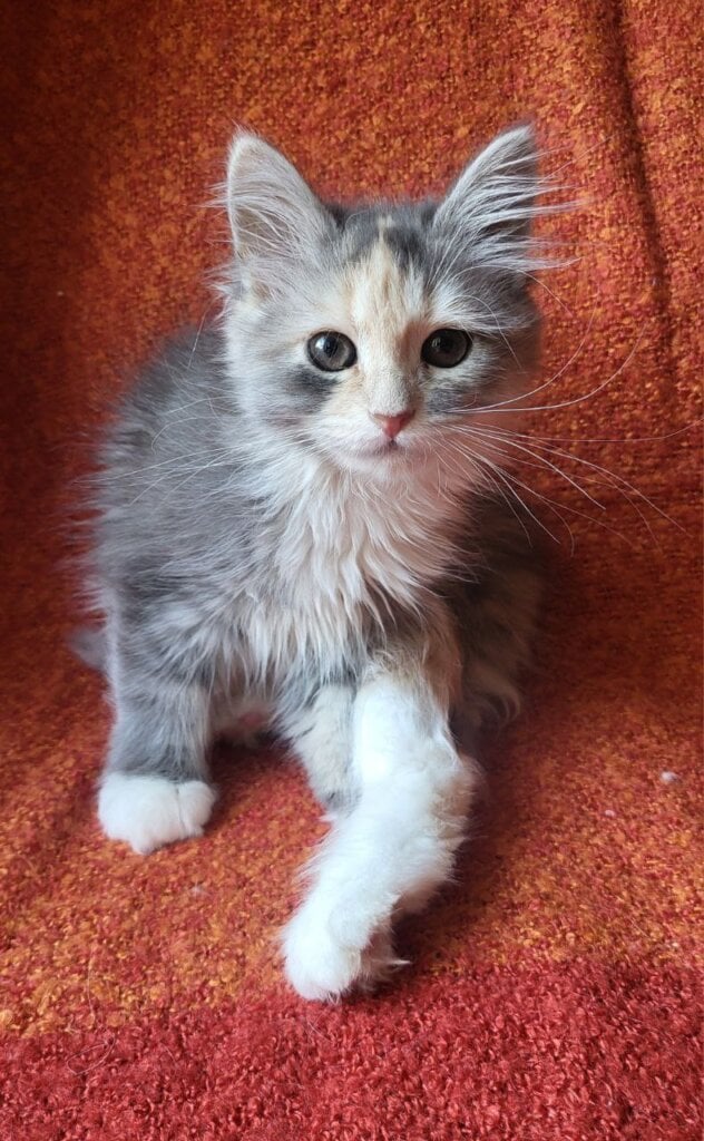 Photo 2026 03 03 17 49 54