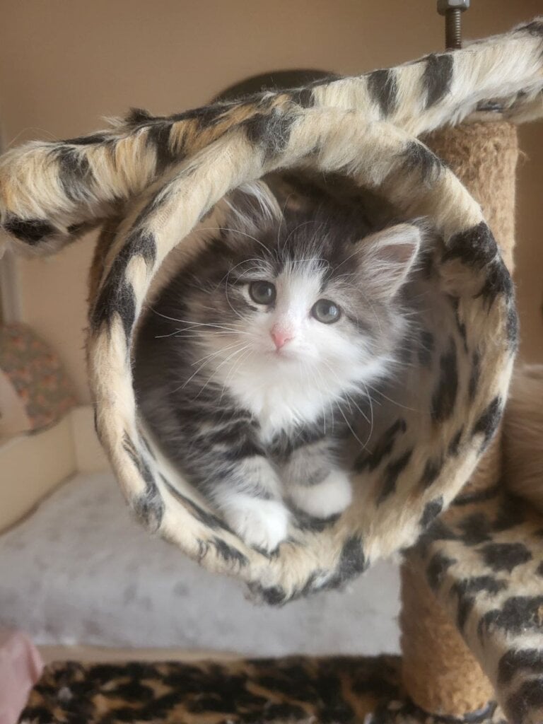 Photo 2026 03 03 18 09 05 3