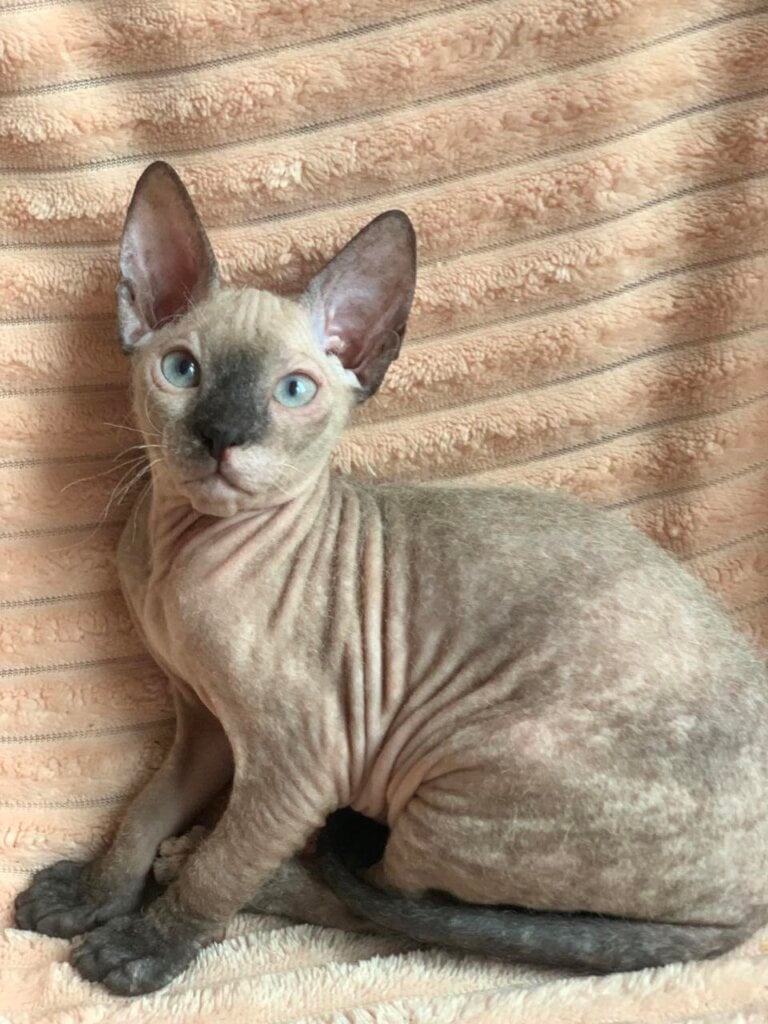 Photo 2026 03 03 22 31 12 2