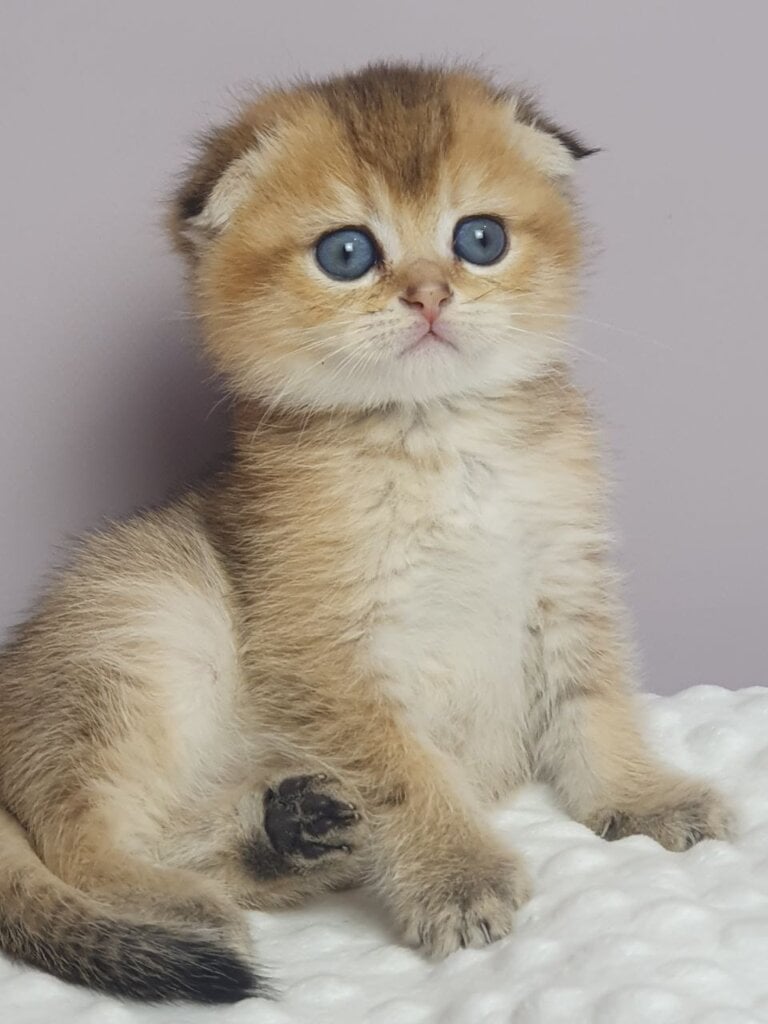 Photo 2026 03 04 11 04 15