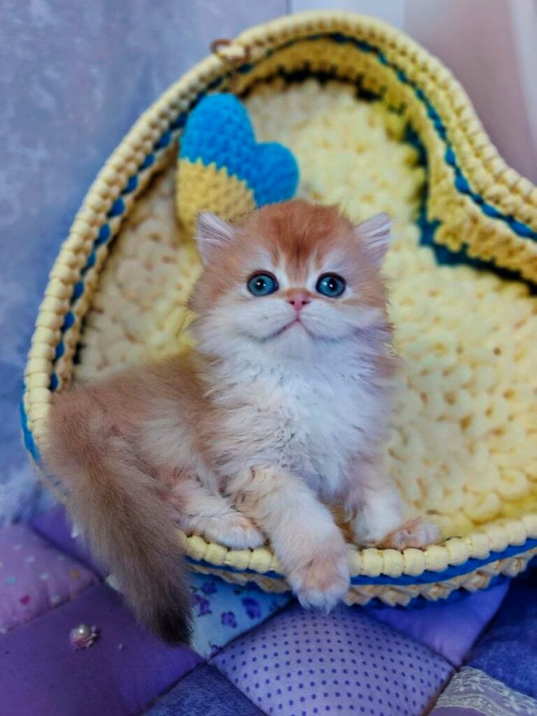 Photo 2026 03 04 15 29 06