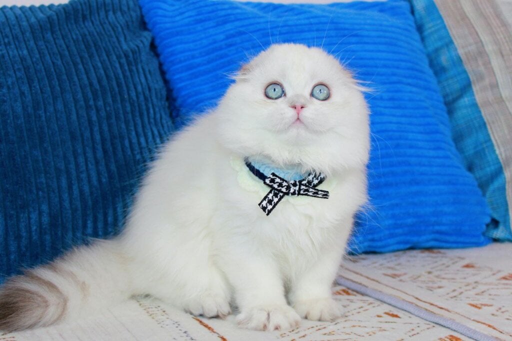 Photo 2026 03 05 21 48 00 4