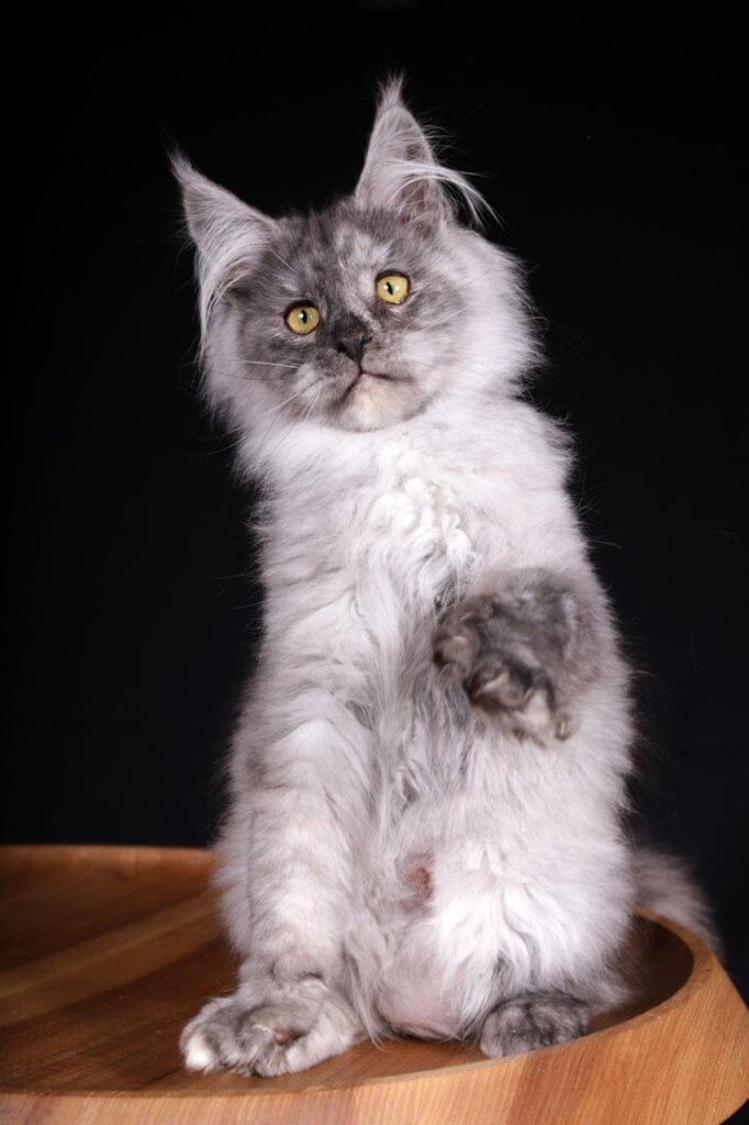 Photo 2026 03 05 21 53 25 2