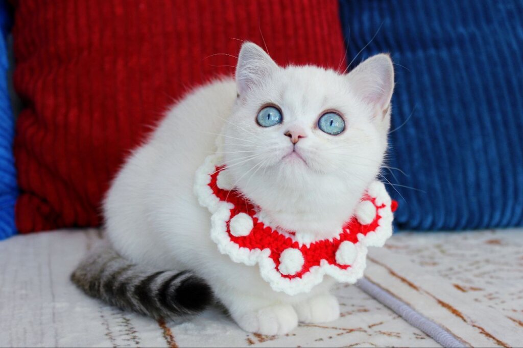 Photo 2026 03 05 21 58 27