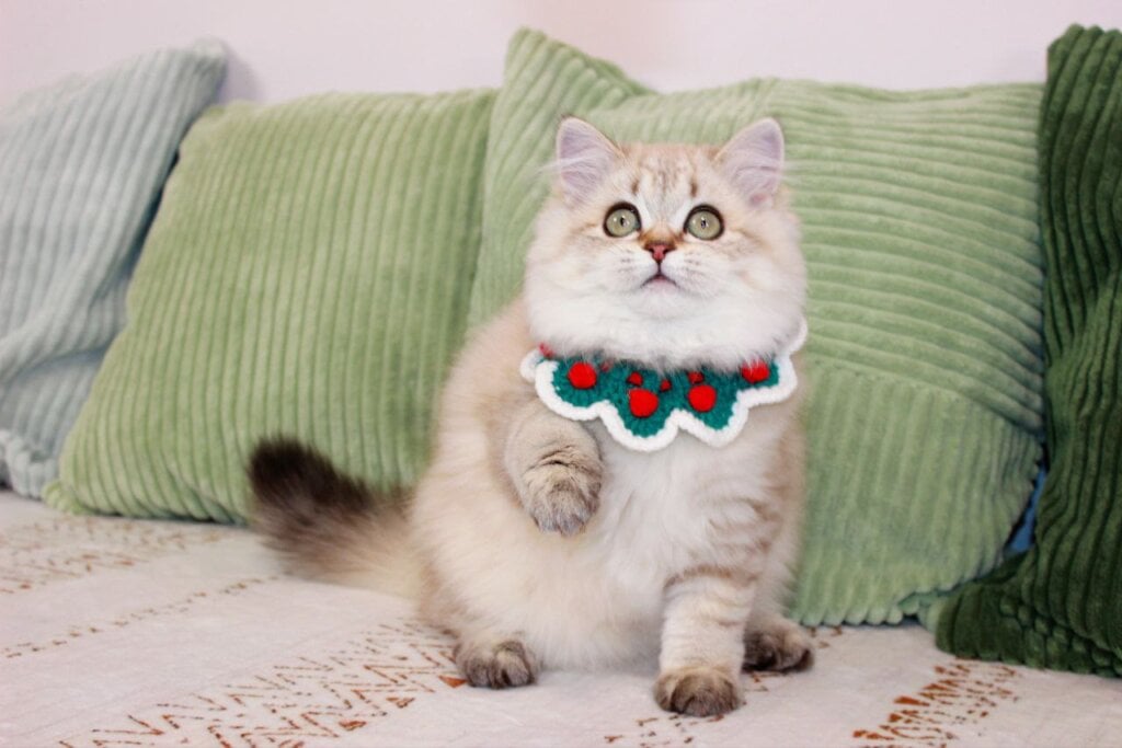 Photo 2026 03 05 22 02 54 3