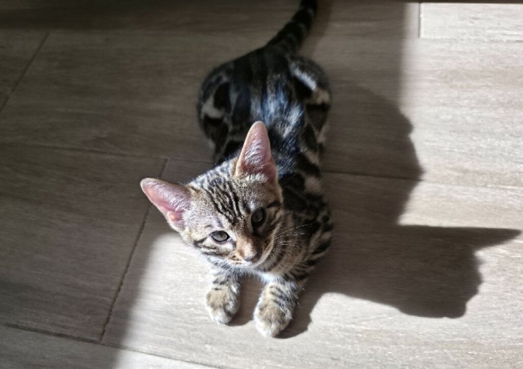 Photo 2026 03 05 22 44 32