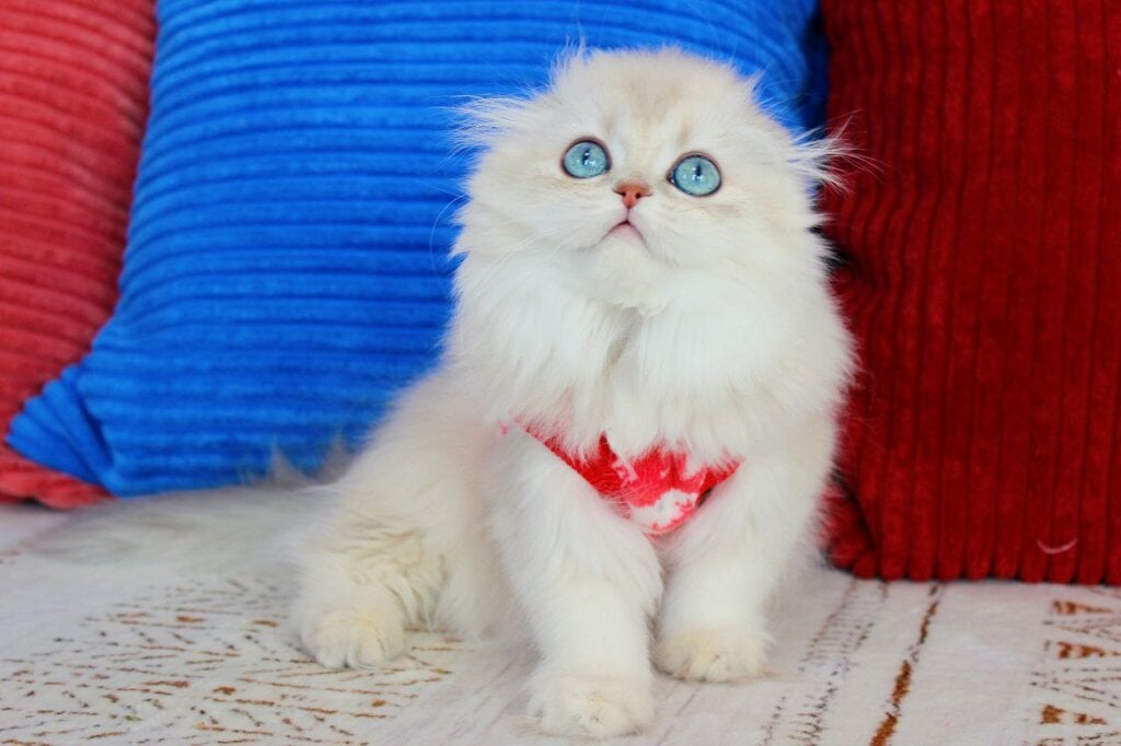 Photo 2026 03 05 23 25 12 2