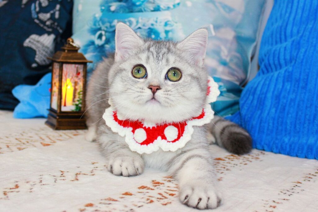 Photo 2026 03 05 23 51 39 3