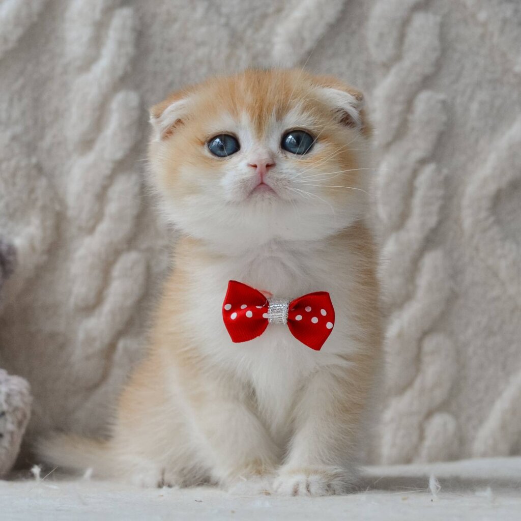 Photo 2026 03 06 14 06 36 2