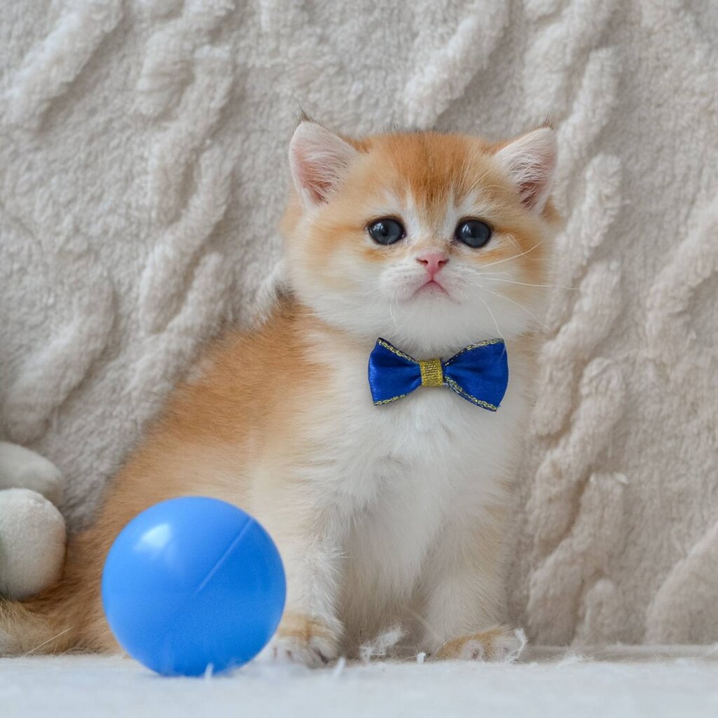 Photo 2026 03 06 14 07 54