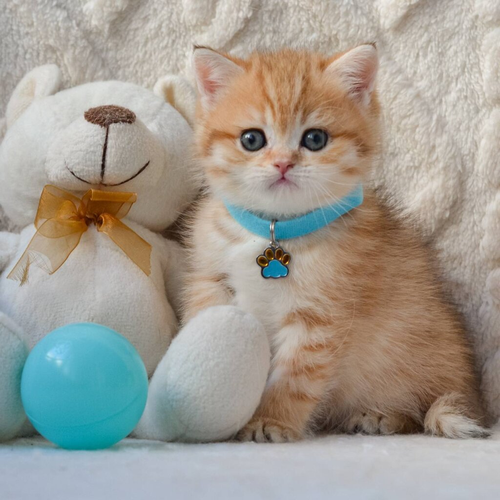 Photo 2026 03 06 14 08 41