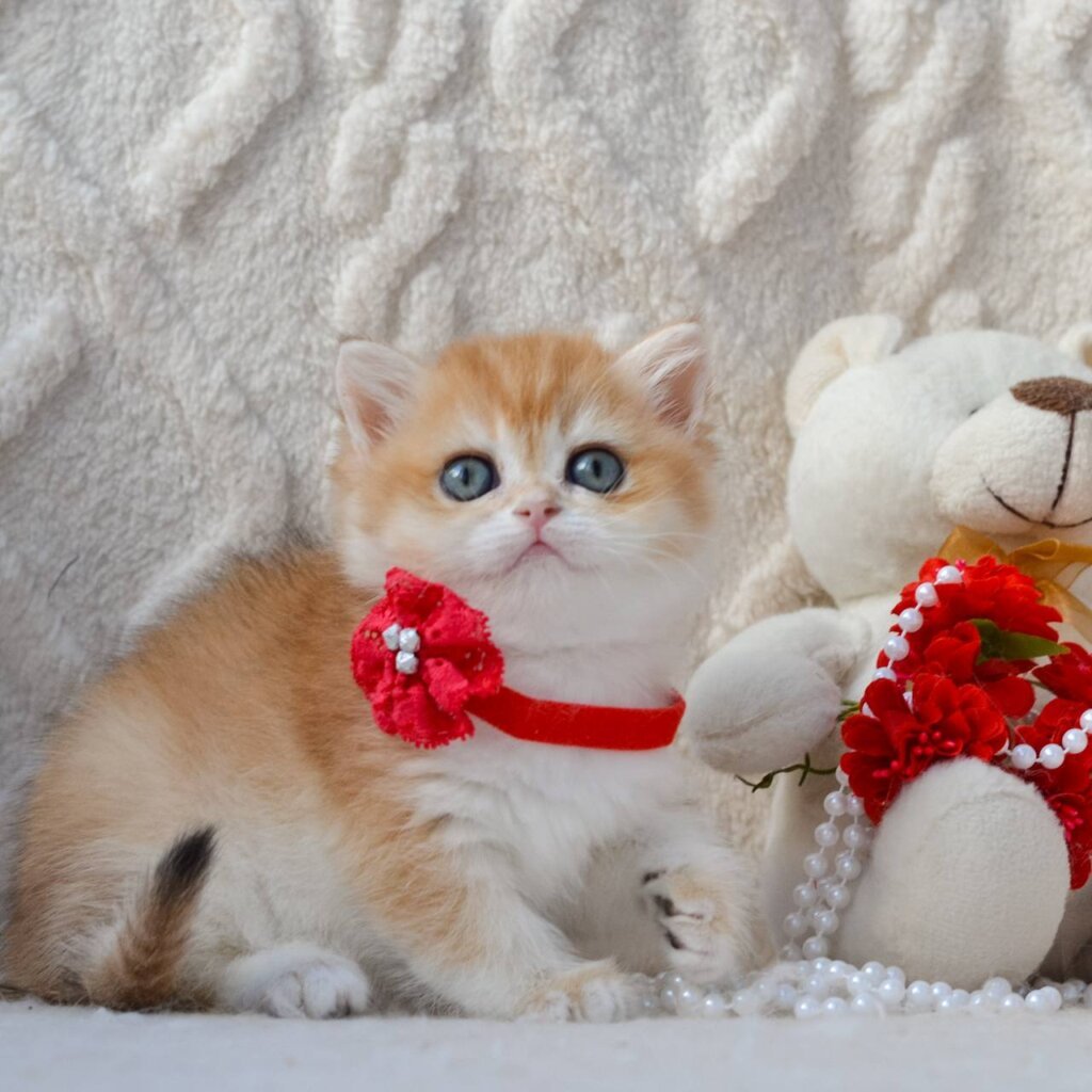 Photo 2026 03 06 14 12 31