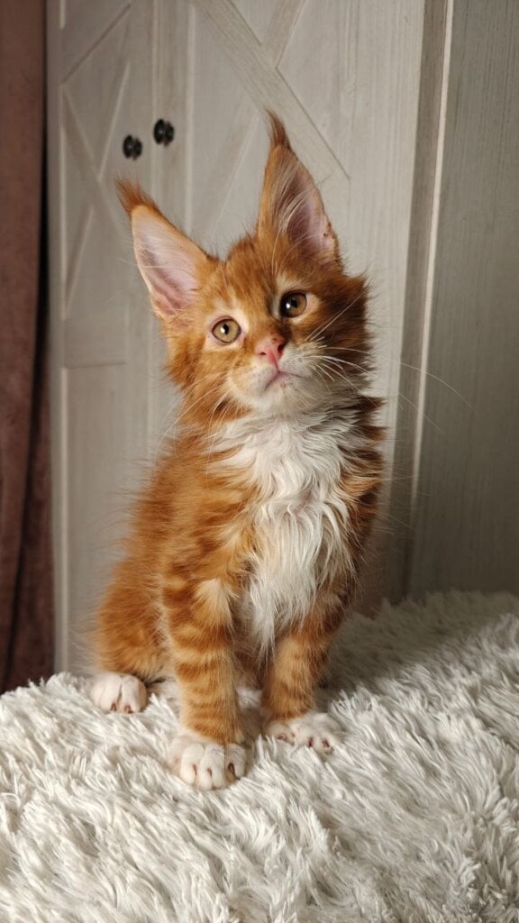 Photo 2026 03 06 15 01 41 2