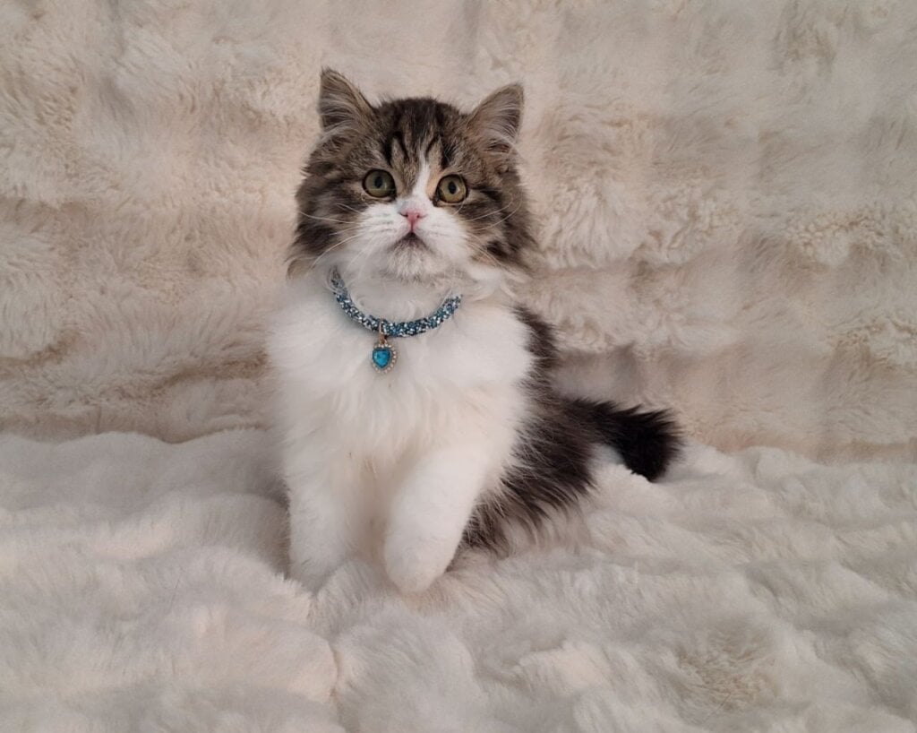 Photo 2026 03 07 08 41 14