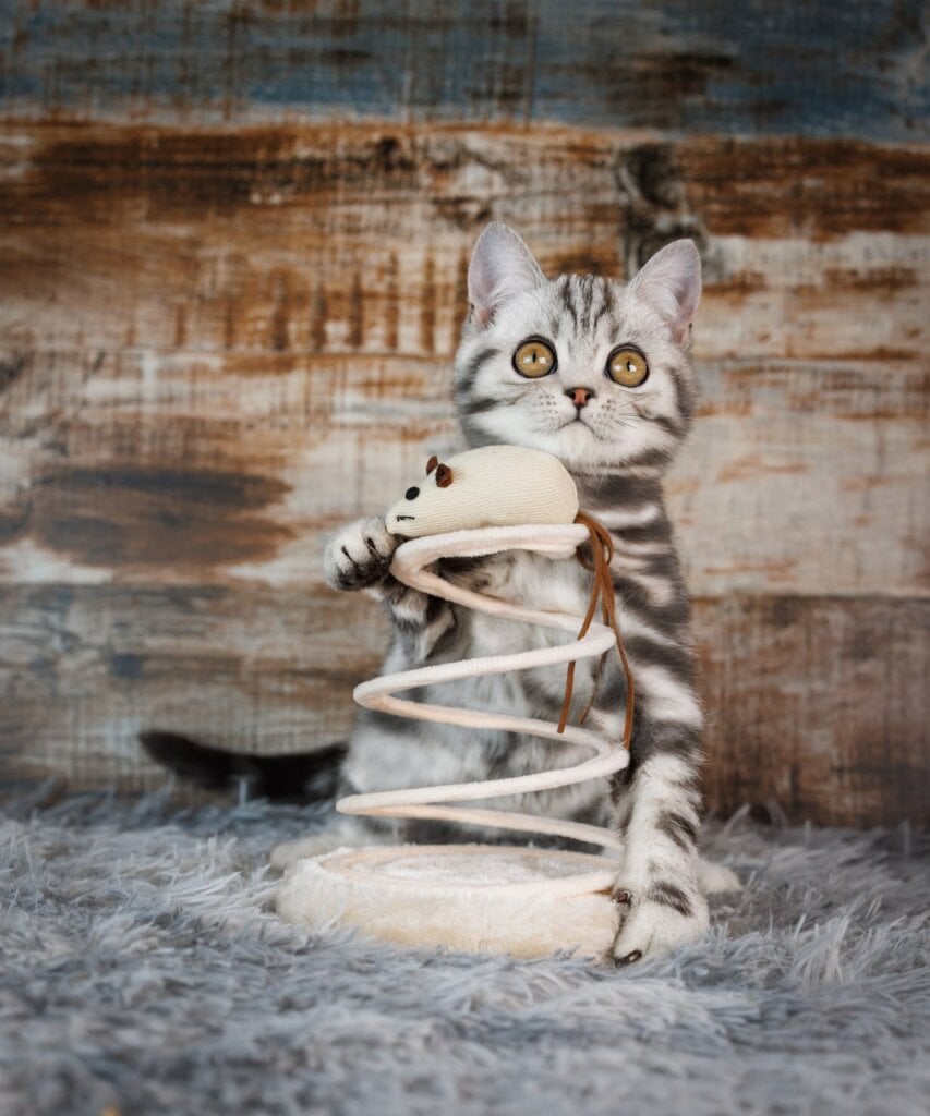 Photo 2026 03 07 12 49 34