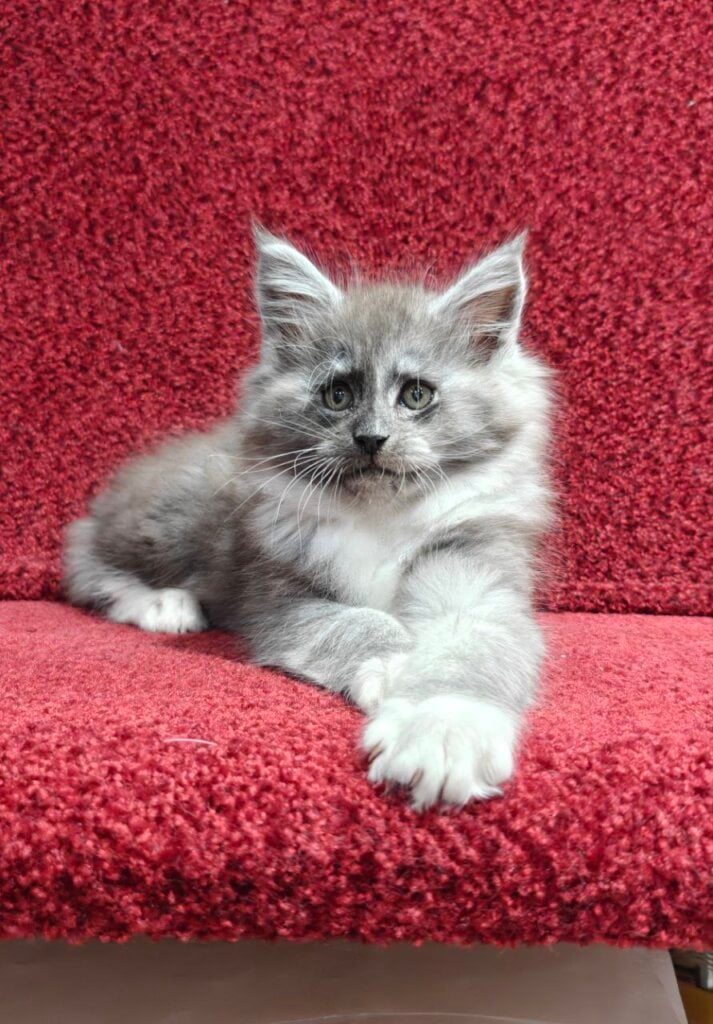 Photo 2026 03 07 22 58 04