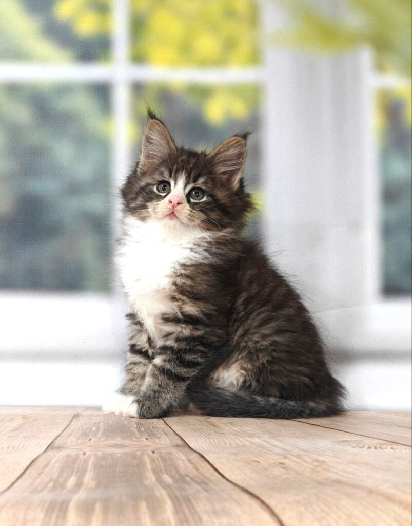 Photo 2026 03 07 22 58 45