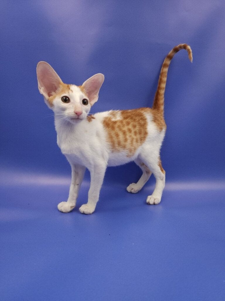 Photo 2026 03 07 23 16 23