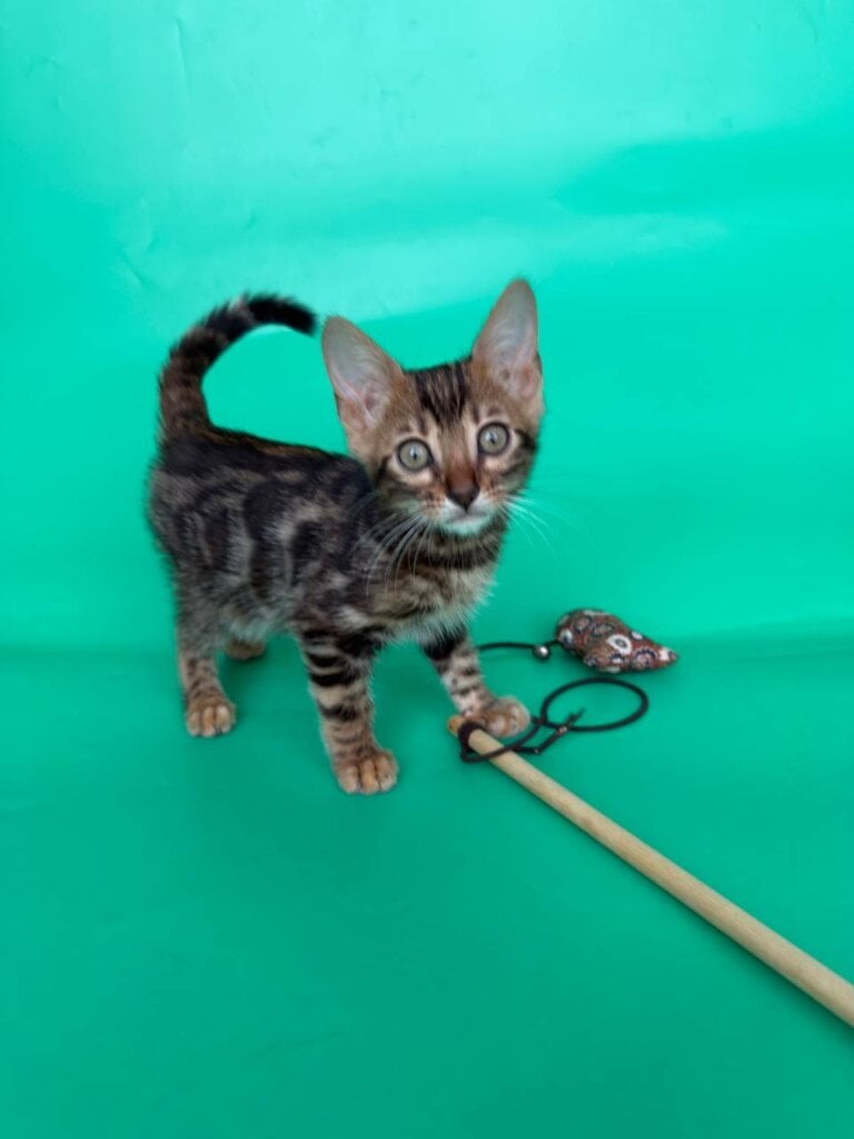 Photo 2026 03 08 19 30 35