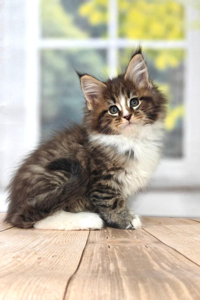 Photo 2026 03 09 10 53 37 3