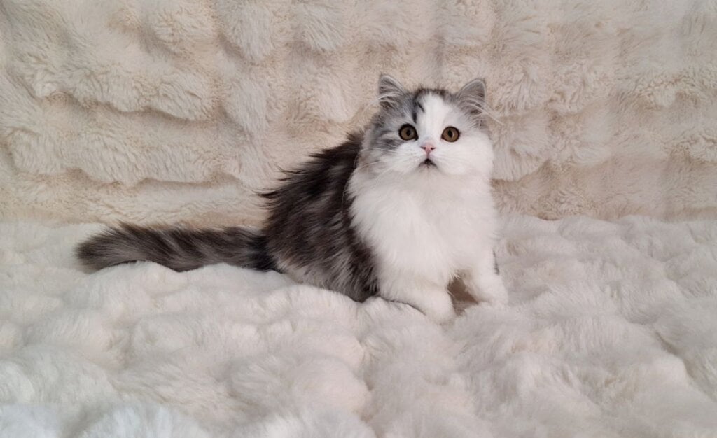 Photo 2026 03 09 10 58 39