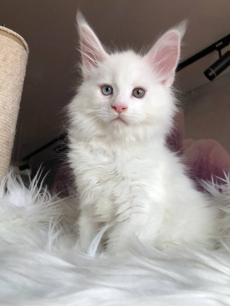 Photo 2026 03 09 10 59 37