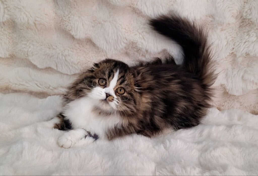 Photo 2026 03 09 11 06 39 2