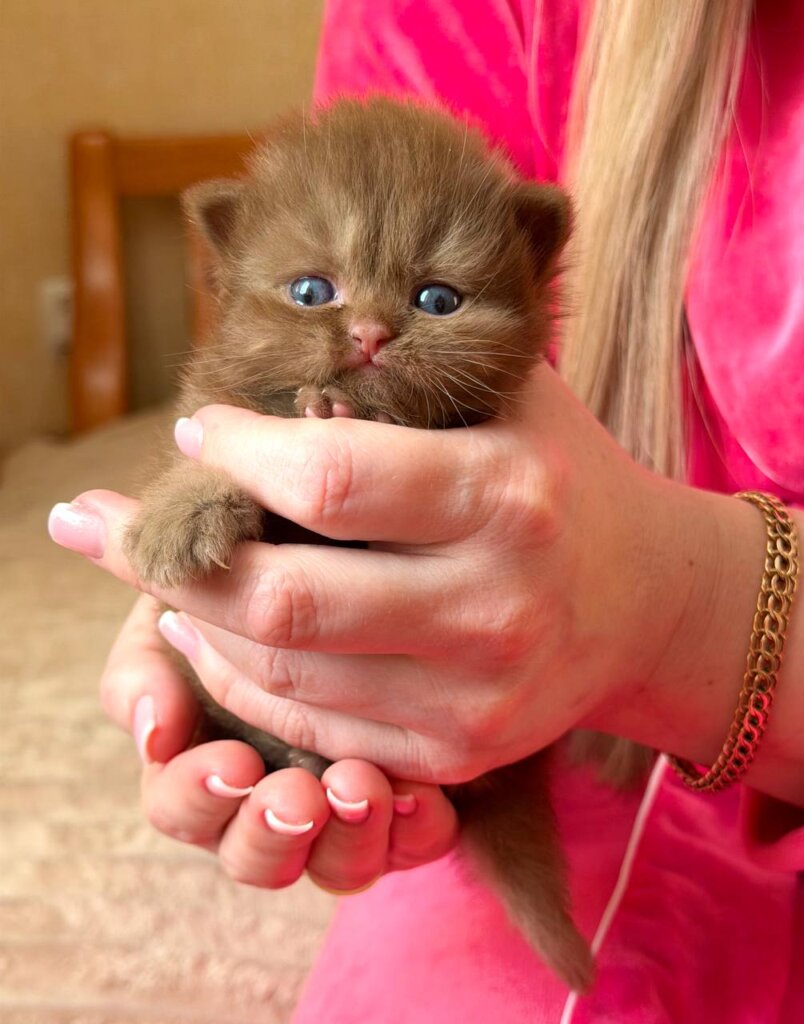 Photo 2026 03 09 17 23 37