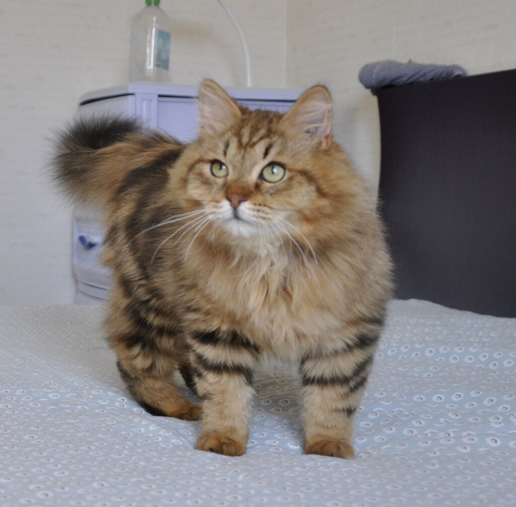 Photo 2026 03 10 16 10 28