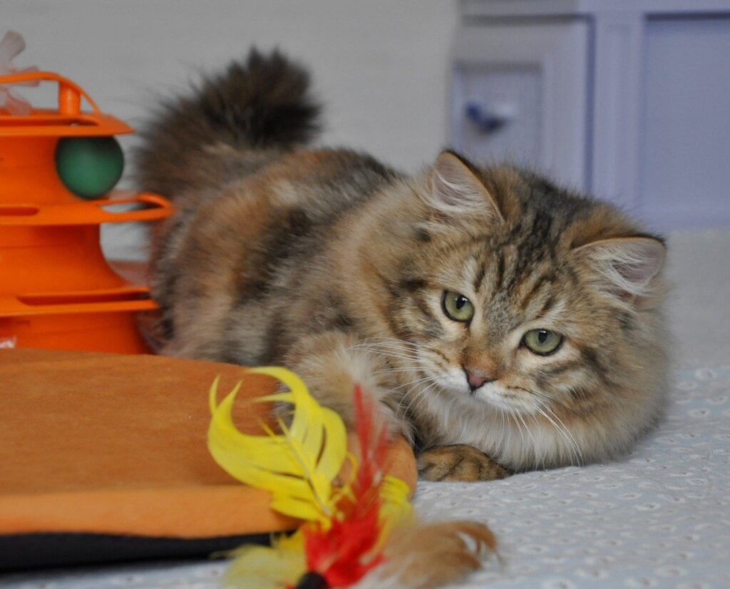 Photo 2026 03 10 16 28 50