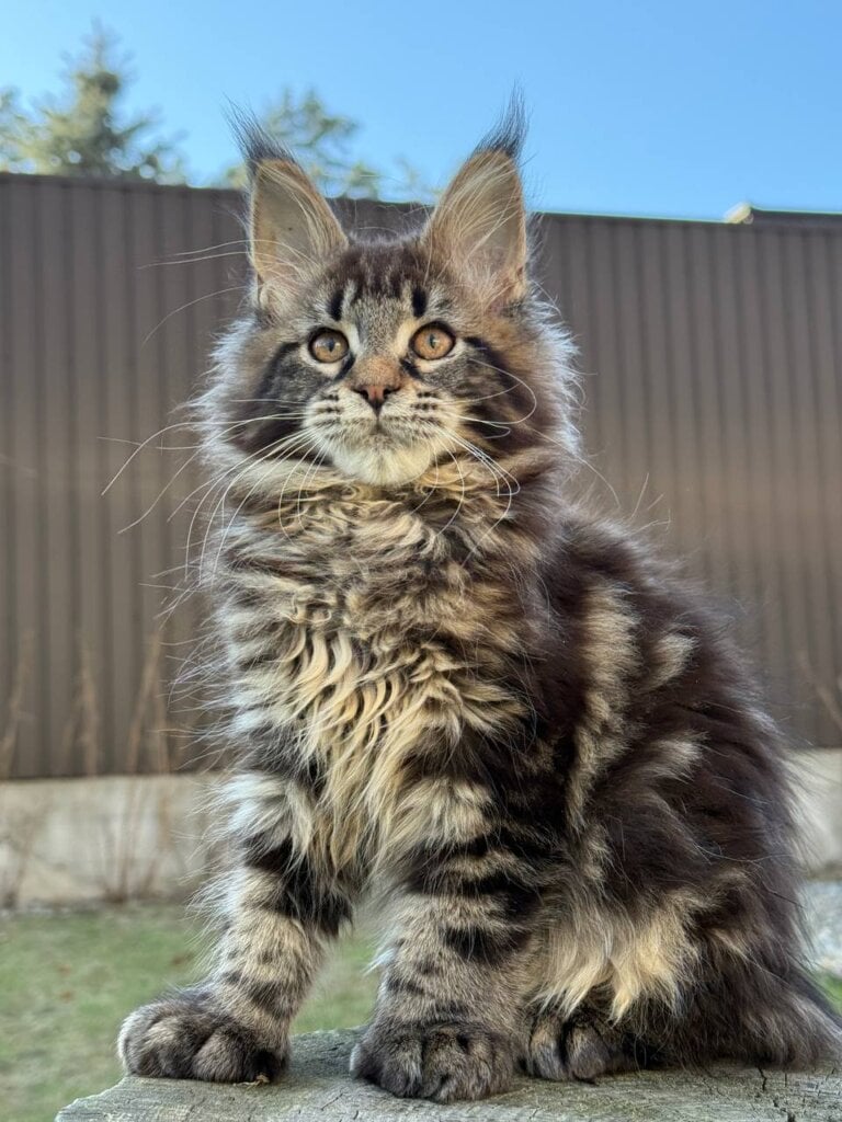 Photo 2026 03 10 21 24 01