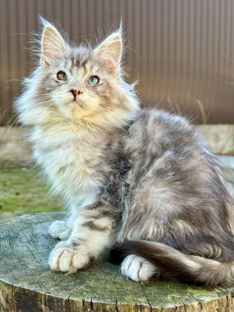 Photo 2026 03 10 21 38 32