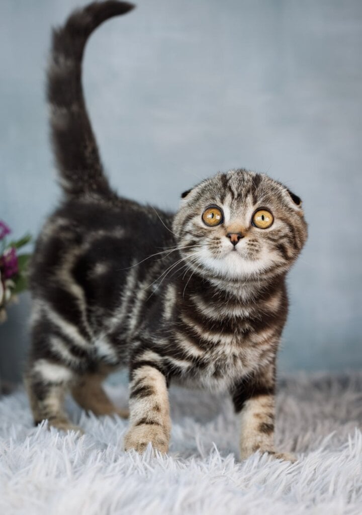 Photo 2026 03 12 09 27 21 2