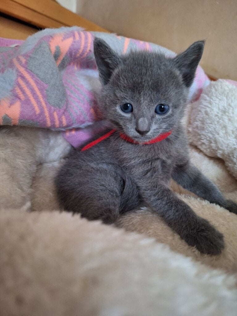 Photo 2026 03 13 17 32 08