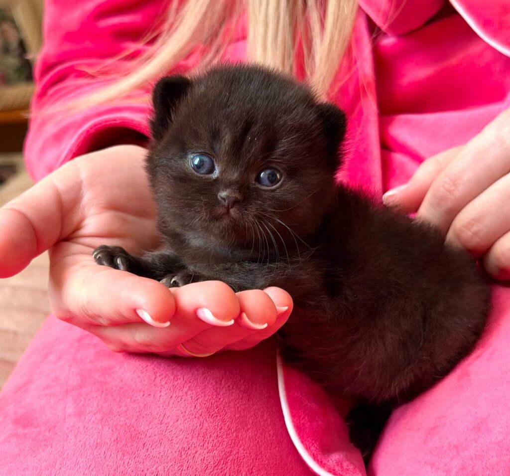 Photo 2026 03 14 16 13 43