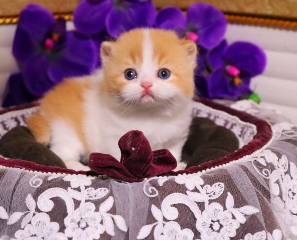 Photo 2026 03 14 23 45 37 2