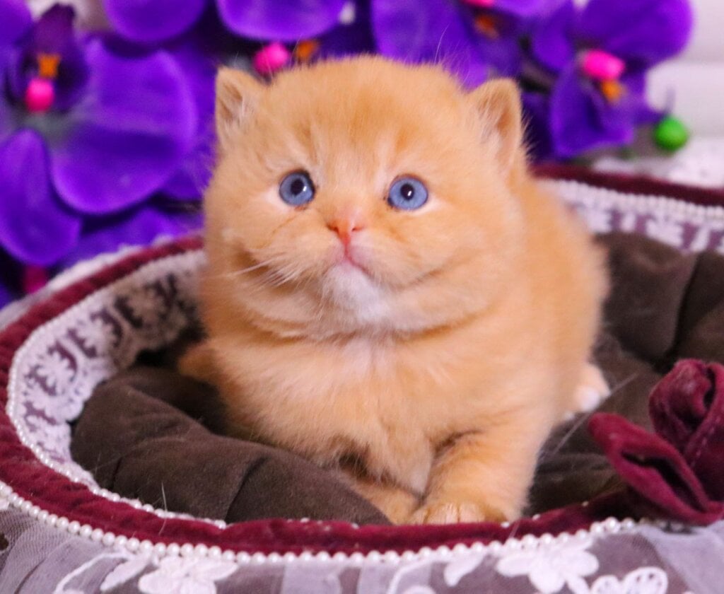 Photo 2026 03 14 23 45 50