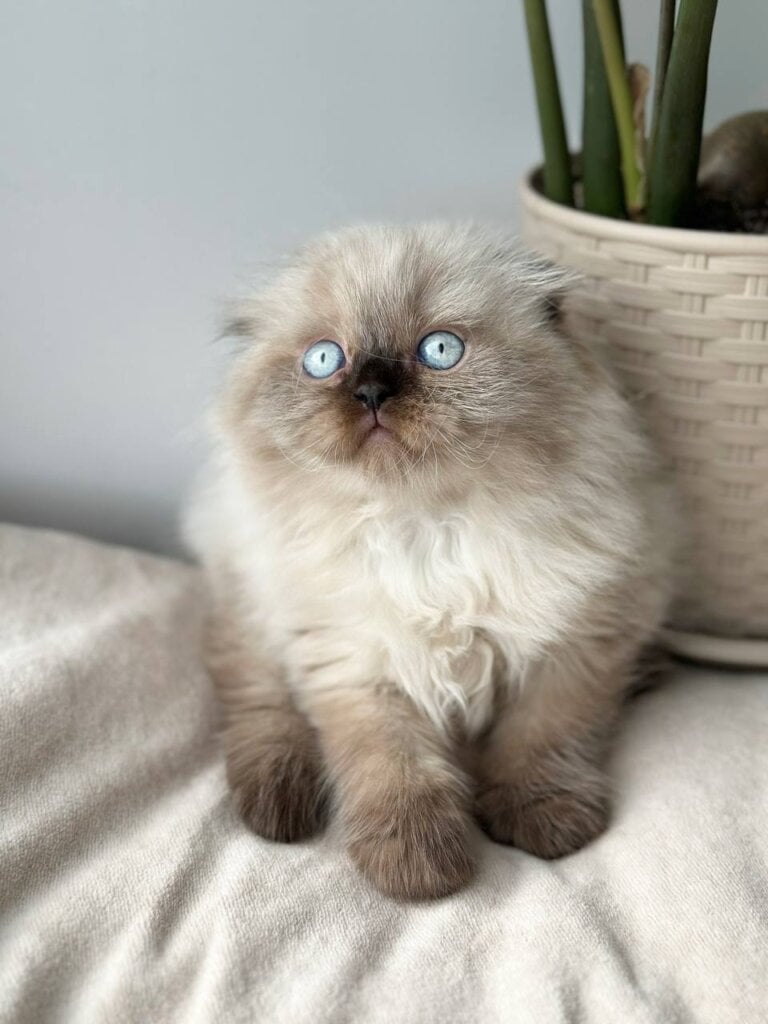 Photo 2026 03 16 15 42 52