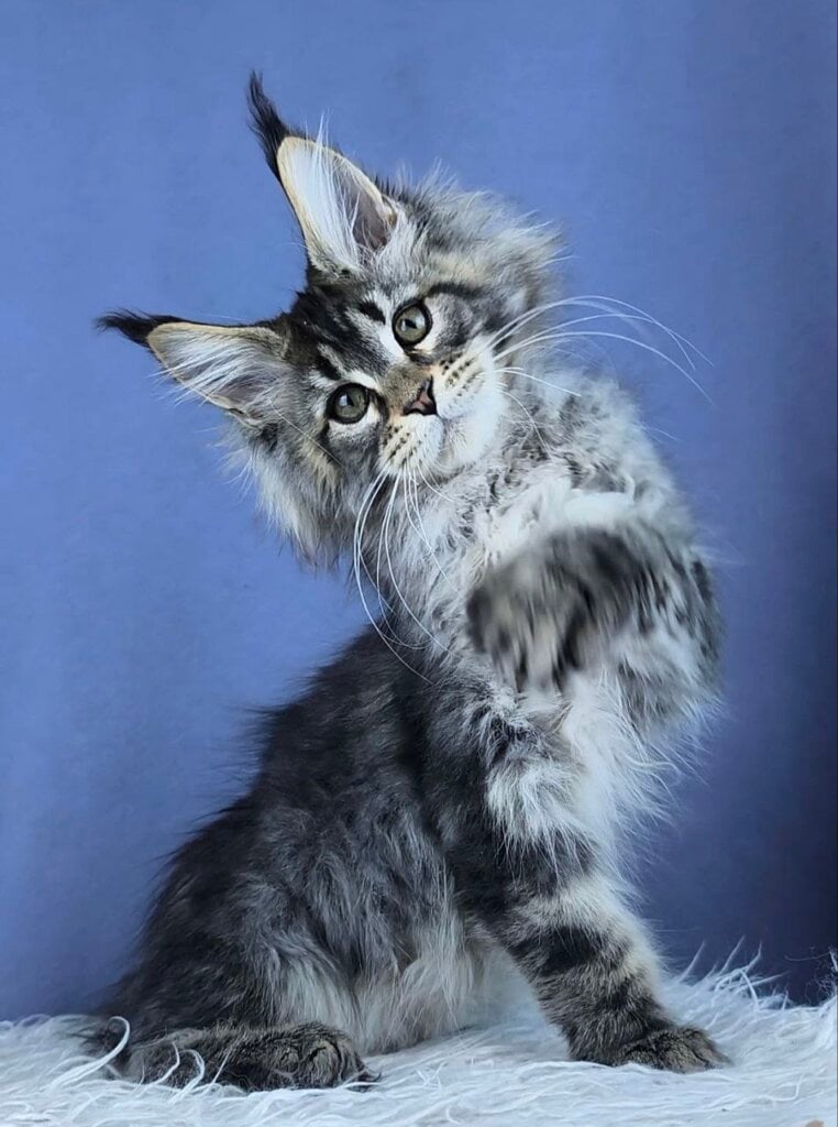 Photo 2026 03 16 19 33 17