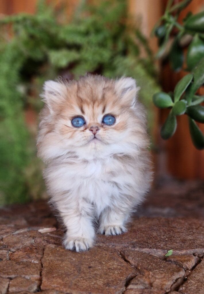 Photo 2026 03 16 20 27 47