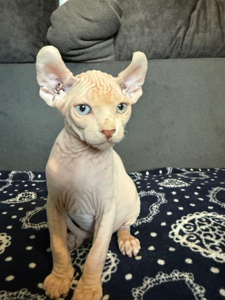 Photo 2026 03 16 21 38 03