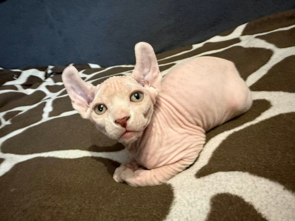 Photo 2026 03 16 21 40 09 2