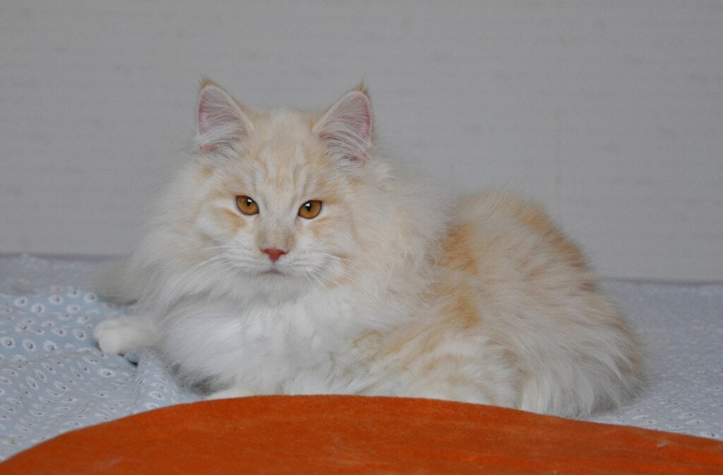 Photo 2026 03 17 11 56 42