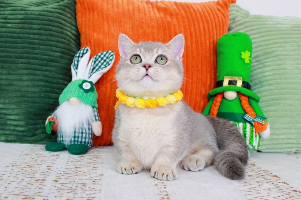 Photo 2026 03 17 23 05 03 3