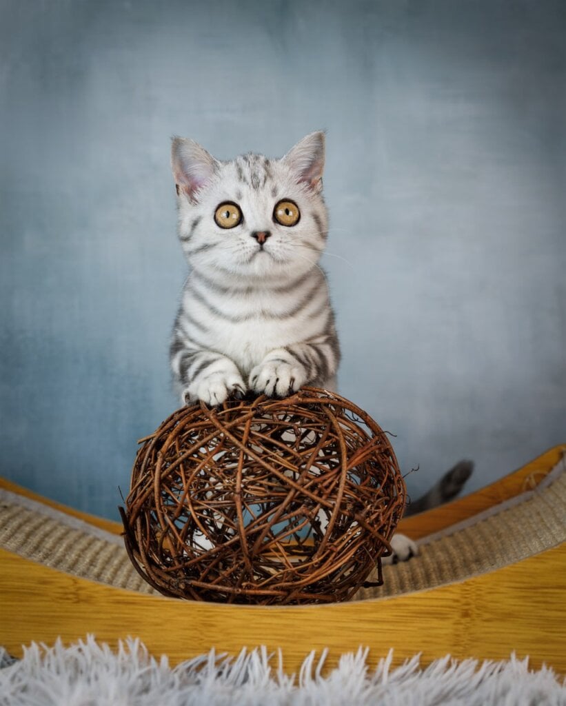 Photo 2026 03 18 09 25 03 2