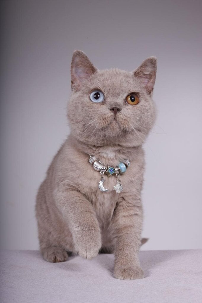 Photo 2026 03 18 19 23 39